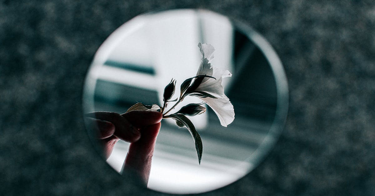 Can the nervous system repair itself?