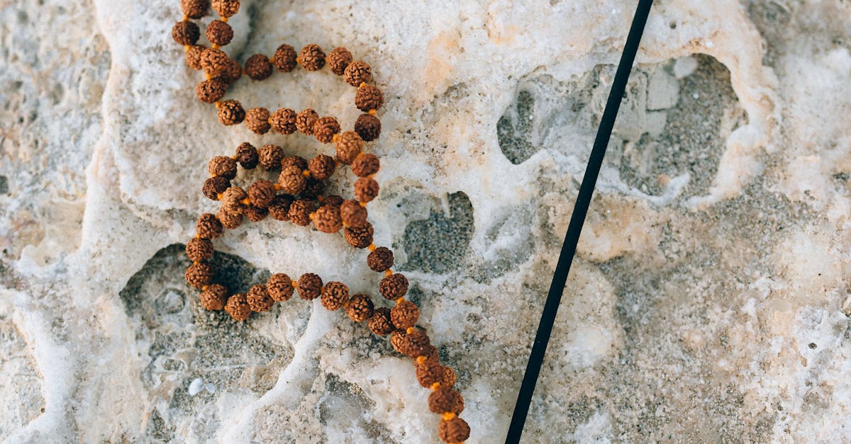 How do I fix my nervous system?