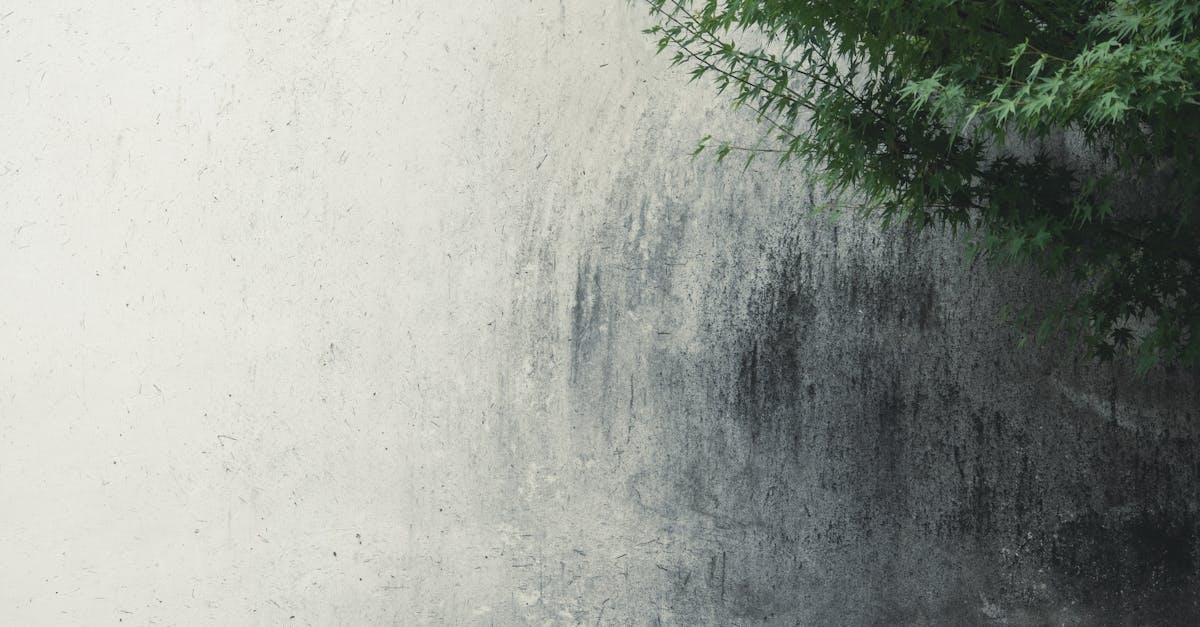 How long does it take to reset your nervous system?