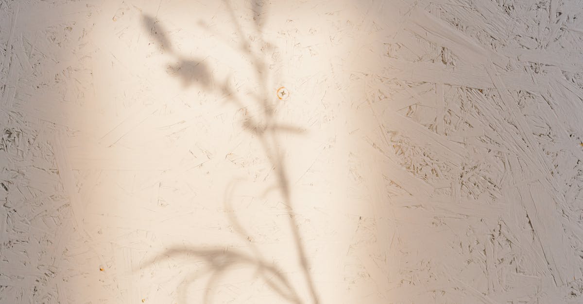 What exercise is best for the nervous system?