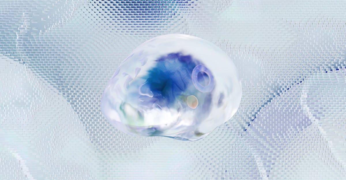 What is the function of a nervous system?