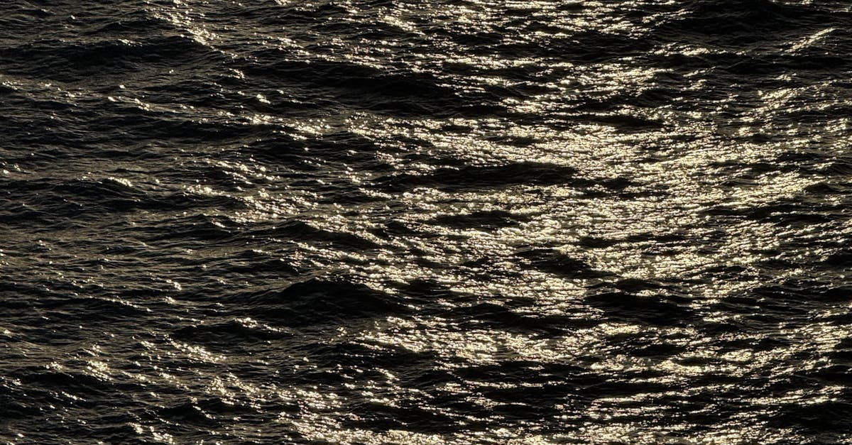 Which fruit is best for nerves?